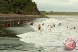 Sejumlah wisatawan bermain di Pantai Grajagan, Banyuwangi, Jawa Timur, Jumat (25/12). Wisata pantai yang berada di sebelah Selatan Kabupaten Banyuwangi tersebut, ramai di kunjungi wisatawan untuk mengisi masa libur Natal. Antara Jatim/Budi Candra Setya/zk/15.