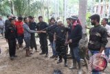 Warga mengunjungi anggota kelompok sipil bersenjata pimpinan Nurdin alias Din Minimi di Desa Ladang Baro, Kecamatan Julok, Aceh Timur, Aceh, Selasa (29/12). Kelompok bersenjata sepakat berdamai dengan pemerintah, mereka juga menyerahkan 15 pucuk senjata api laras panjang beserta amunisi kepada pihak keamanan. ANTARA FOTO/Syifa Yulinnas/15.