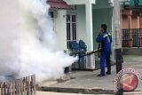 Dinas Kesehatan Kabupaten Balangan, melakukan fogging atau pengasapan di lilngkungan rumah-rumah warga RT 5 dan RT 14 di Komplek Batu Piring, Kecamatan Paringin Selatan, pada areal yang diduga sebagai sarang nyamuk, guna menghindarkan warga terkena DBD. Rabu (30/12).