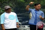 Wali Kota Bogor, Bima Arya Sugiarto (kanan) mengangkat ikan hasil pancingan di Kolam pemancingan Kompleks Bendung Katulampa, pada Silaturahim mengakhiri tahun 2015 dan menyambut tahun 2016 bersama para Pejabat dan Wartawan Kota Bogor, Jawa Barat. (ANTARA FOTO/M.Tohamaksun).