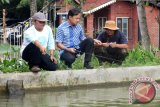 Wali Kota Bogor, Bima Arya Sugiarto (tengah) menjadi salah satu peserta lomba mancing di Kolam pemancingan Kompleks Bendung Katulampa, pada Silaturahim mengakhiri tahun 2015 dan menyambut tahun 2016 bersama para Pejabat dan Wartawan Kota Bogor, Jawa Barat. (ANTARA FOTO/M.Tohamaksun).