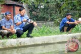 Wali Kota Bogor, Bima Arya Sugiarto (tengah) menjadi salah satu peserta lomba mancing di Kolam pemancingan Kompleks Bendung Katulampa, pada Silaturahim mengakhiri tahun 2015 dan menyambut tahun 2016 bersama para Pejabat dan Wartawan Kota Bogor, Jawa Barat. (ANTARA FOTO/M.Tohamaksun).