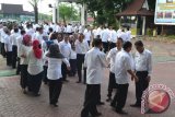 Para PNS Pemko Banjarmasin bersalaman dengan para pimpinan usai apel pertama menggunakan baju putih di Halaman Balai Kota Banjarmasin, Jalan RE Martadinata, Kamis (7/1). Hal ini berkaitan dengan edaran dari Penjabat Wali kota Banjarmasin tentang Penggunaan Pakaian Dinas Aparatur Sipil Negara di Lingkungan Pemerintah Kota Banjarmasin.(Antaranews Kalsel/humas/e)