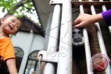 Seorang anak melihat dan bermain dengan Ungko (Hylobates lar) hasil sitaan Balai Konservasi Sumber Daya Alam (BKSDA) yang sedang direhabilitasi sebelum dilepasliarkan ke kehabitatnya di Banda Aceh, Aceh, Minggu (17/1). Ungko lengan putih salah satu satwa langka dan dilindungi endemik pulau Sumatera saat ini masih marak diperdagangkan. ANTARA FOTO/Irwansyah Putra/ama/16.