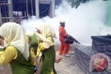 Bojonegoro - Seorang petugas Dinas Kesehatan (Dinkes) Kabupaten Bojonegoro, Jawa Timur, melakukan pengasapan di sebuah lembaga pendidikan untuk membasmi nyamuk 