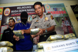 Petugas kepolisian bersama kurir pembawa ganja berinisial ZM (tengah) memperlihatkan barang bukti ganja saat gelar ungkap kasus di Mako Direktorat Reserse Narkoba Polda Kalbar, Rabu (20/1). Ditresnarkoba Polda Kalbar berhasil mengungkap pengiriman narkoba jenis ganja kering asal Aceh seberat 8,9 kilogram yang dilakukan oleh kurir berinisial ZF dan dikendalikan oleh seorang napi penghuni Lembaga Pemasyarakatan Kelas IIA Pontianak berinisial M. ANTARA FOTO/Jessica Helena Wuysang/16