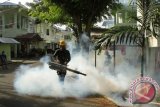 Petugas Kesehatan Kodam Iskandar Muda melakukan pengasapan (fogging) untuk mencegah penyebaran penyakit demam berdarah dengue (DBD) di Komplek Perumahan Dinas Polisi Militer, Banda Aceh, Selasa (26/1).  Pengasapan tersebut dilakukan atas meningkatnya kasus DBD. ACEH.ANTARANEWS.COM/Ampelsa/16
 