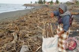 Warga mengumpulkan sampah kayu yang hanyut pasca banjir di Pantai Syiah Kuala, Banda Aceh, Kamis (28/1). Ratusan kubik sampah kayu yang mengotori pantai wisata pasca banjir  di daerah itu  dimanfaatkan warga untuk bahan bakar memasak. ACEH.ANTARANEWS.COM/Ampelsa/16