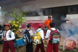  Fogging atau pengasapan untujk mengantisipasi bertambahya penderita Demam Berdarah Dengue (DBD) dilakukan di SD Negeri Hikun Kecamatan Tanjung Kabupaten Tabalong. Di sekolah ini tercatat empat siiswanya menderita DBD dan di kabupaten iini tahun lalu enam anak meninggal karena penyakit yang disebabkan gigitan nyamuk aedes aegypti.Foto:Antara/Herlina Lasmianti