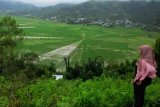 Sawah Lodok Sajian Alam Budaya Manggarai