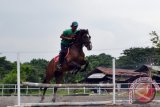 Seorang pelatih mengendalikan kuda melompati rintangan di arena latihan Trotter Equestrian Center, kawasan Wisata Pantai ria Kenjeran, Surabaya. Kamis (4/2). Tempat tersebut merupakan salah satu tempat belajar berkuda di Surabaya dan berdiri sejak 1982. Antara Jatim/Abdullah Rifai/16