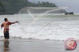 Nelayan melempar jaring untuk menangkap ikan di tepi Pantai Blado, Munjungam, Tulungagung, Jawa Timur, Jumat (5/2). Cuaca buruk menyebabkan tangkapan ikan di daerah itu turun drastis atau paceklik ikan. Antara Jatim/Foto/Destyan Sujarwoko/zk/16