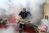 Petugas melakukan pengasapan (fogging) guna memberantas nyamuk penyebab demam berdarah di Palmerah, Jakarta, Minggu (7/2). Pengasapan tersebut dilakukan untuk mencegah wabah penyakit demam berdarah yang kerap muncul pada peralihan musim atau masa pancaroba. ANTARA FOTO/Rivan Awal Lingga