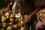 Minahasa Tenggara bakal seriusi pengembangan arang tempurung