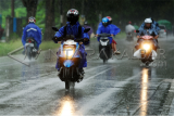 Sejumlah pengendara motor menembus hujan di jalan raya Jungkat, Kabupaten Mempawah, Kalbar, Senin (8/2). Hujan yang turun pada hari pertama perayaan Imlek, dipercaya oleh masyarakat Tionghoa akan membawa rejeki berlimpah dan keberuntungan di tahun baru.(Foto Jessica Helena Wuysang)