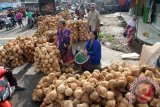 Pedagang menggelar ribuan buah kelapa yang telah dikupas di pasar tumpah Kecamatan Munjungan, Trenggalek, Jawa Timur, Kamis  (11/2). Indonesia merupakan eksportir kelapa dan sabut kelapa kedua terbesar di dunia setelah Filipina, dengan nilai kontribusi mencapai 20,16 persen dari total nilai ekspor dunia sebesar 1,21 miliar dollar AS. Antara Jatim/Foto/Destyan Sujarwoko/16