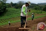 Wisata Malino Jadi Daya Tarik Rotary Internasional