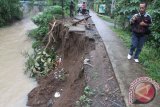 Seorang jurnalis televisi berjalan di tepi jalan antardusun yang longsor akibat talud sungai ambrol di Desa Sukowiyono, Tulungagung, Jawa Timur, Jumat (12/2). Meningkatnya debit air sungai dampak hujan deras yang mengguyur kawasan tersebut beberapa pekan terakhir menyebabkan sejumlah infrastruktur talud, plengseng dan irigasi rusak berat tergerus banjir. Antara jatim/Destyan Sujarwoko/zk/16