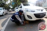 Petugas Dishub Kota Medan mengunci ban mobil dengan gembok yang diparkir sembarangan saat melakukan razia di Jalan Diponegoro Medan, Sumatera Utara, Jumat (12/2). Operasi tersebut bertujuan menertibkan parkir berlapis dengan melakukan penggembokan terhadap kendaraan guna mengantisipasi terjadinya kemacetan arus lalulintas. Foto Septianda Perdanapd.