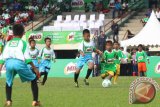 Sejumlah anak-anak bertanding pada kompetisi Milo Footbal Championship" 2016, di Lapangan USU Medan, Sumatera Utara, Minggu (14/2). Sabtu (13/2). Kompetisi Milo Football Championship antar sekolah dasar (SD) tersebut digelar di tiga kota di Indonesia untuk menjaring pemain muda terbaik yang berkesempatan mengikuti pelatihan eksklusif oleh Kurniawan Dwi Yulianto di Milo Camp di Jakarta. ANTARA SUMUT / Septianda Perdana/16 