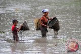 Seorang perempuan dan anak-anak berburu ikan di tambak yang disediakan untuk menggelar Tradisi Bongkar Pagong di Desa Cipta Karya, Kecamatan Sungai Betung, Kabupaten Bengkayang, Kalbar, Sabtu (20/2). Tradisi Bongkar Pagong yang diikuti masyarakat setempat dan digelar setiap tujuh atau delapan bulan sekali tersebut, merupakan rangkaian dari kegiatan panen raya di daerah itu. (Foto Jessica Helena Wuysang).