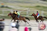Sejumlah joki berusia muda memacu kuda saat lomba pacuan kuda tradisional Gayo di lapangan Pacuan Kuda Blang Bebangka, Takengon, Kabupaten Aceh Tengah, Provinsi Aceh, Senin (22/2). Pacuan kuda tradisional itu diikuti joki dan kuda pacuan dari sejumlah daerah dalam rangka memeriahkan HUT ke-439 kota Takengon. ANTARA FOTO/Rahmad/aww/16.