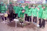 Persit KCK Lampung Tanam Pohon Penghijauan 