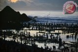 Ribuan warga dan wisatawan mengumpulkan 'Nyale' (cacing laut warna-warni) pada Festival Bau Nyale di pantai Seger, Desa Kuta, Praya, Lombok Tengah, NTB, Minggu (28/2). Festival bertaraf internasional tersebut digelar setahun sekali di Kawasan Ekonomi Khusus (KEK) Mandalika yang dikelola Badan Usaha Milik Negara Indonesia Tourism Development Corporation (ITDC). ANTARA FOTO/Ahmad Subaidi/wdy/16.
