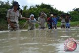 Sejumlah guru SDN Pojok Klitih III bergandengan tangan ketika melewati sungai saat berangkat mengajar di Desa Pojok Klitih, Plandaan, Jombang, Jawa Timur, Selasa (1/3). Sembilan guru, dua diantaranya guru tidak tetap (GTT) kategori 2 yang bertugas di desa terpencil di Kabupaten Jombang selama 12 tahun, setiap hari harus menempuh perjalanan 4 Km selama 1,5 jam dengan berjalan kaki saat musim hujan melewati tiga sungai untuk sampai ke SDN Pojok Klitih III di Dusun Nampu. ANTARA FOTO/Syaiful Arif/wdy/16