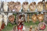 Seorang pedagang menata ikan asin dagangannya di Desa Patek, Sampoiniet, Aceh Jaya, Aceh, Rabu (2/3). Menurut pedagang ikan asin, sejak tiga pekan terakhir permintaan ikan asin jenis kakap dan talang-talang menurun disebabkan banyak ikan asin yang pasok dari luar daerah yang dijual Rp.60.000 sampai Rp. 120.000 per ikan. ANTARA FOTO/Syifa Yulinnas/pd/16.