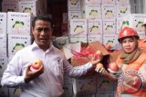 Menteri Pertanian Andi Amran Sulaiman (kiri) menunjukkan buah apel impor yang berada dalam Kontainer di Terminal Peti Kemas Surabaya, Jawa Timur, Jumat (4/3). Badan Karantina Pertanian menahan 609,9 ton buah jeruk, apel, pir asal Tiongkok yang tidak dilengkapi dengan surat jaminan kesehatan dalam 34 kontainer. ANTARA FOTO/M Risyal Hidayat/wdy/16.