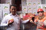 Menteri Pertanian Andi Amran Sulaiman (kiri) menunjukkan buah apel impor yang berada dalam Kontainer di Terminal Peti Kemas Surabaya, Jawa Timur, Jumat (4/3). Badan Karantina Pertanian menahan 609,9 ton buah jeruk, apel, pir asal Tiongkok yang tidak dilengkapi dengan surat jaminan kesehatan dalam 34 kontainer.  Antara Jatim/M Risyal Hidayat/zk/16