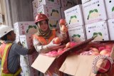 Petugas menunjukkan buah jeruk impor yang berada dalam Kontainer di Terminal Peti Kemas Surabaya, Jawa Timur, Jumat (4/3). Badan Karantina Pertanian menahan 609,9 ton buah jeruk, apel, pir asal Tiongkok yang tidak dilengkapi dengan surat jaminan kesehatan dalam 34 kontainer.  Antara Jatim/M Risyal Hidayat/zk/16