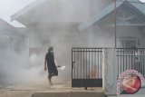 Seorang warga melakukan pengasapan (fogging) secara swadaya di Lingkungan Sumber Dandang, Kelurahan Kebonsari, Sumbersari, Jember, Jawa Timur, Minggu (6/3). Menurut data Dinas Kesehatan Jember selama Januari hingga awal Maret 2016 sebanyak 155 orang pasien penyakit demam berdarah dengue (DBD) dirawat di tiga rumah sakit di Jember, tiga pasien diantaranya meninggal dunia.
Antara Jatim/Seno/zk/16.