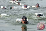 Sejumlah prajurit Korps Marinir TNI AL memacu kecepatannya dalam lomba renang militer di Kolam tank Bhumi Marinir, Karangpilang, Surabaya, Jawa Timur, Kamis (10/3). Sekitar 217 prajurit dari tujuh satuan jajaran Pasmar-1 tersebut mengikuti renang jarak 300 meter dalam rangka HUT ke-15 Pasmar-1. Antara Jatim/M Risyal Hidayat/zk/16