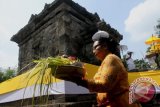 Umat Hindu melakukan upacara Ngembak geni di Candi Badut, Malang, Jawa Timur, Kamis (10/3). Upacara yang diadakan di komplek situs purbakala peninggalan dari kerajaan Kanjuruhan pada abad 8 Masehi tersebut merupakan penutup rangkaian Hari Raya Nyep. Antara Jatim/Ari Bowo Sucipto/zk/16.