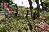 Pekerja dari Dinas Kebersihan dan Pertamanan memangkas pohon perindang di salah satu jalan utama di Kabupaten Kediri, Jawa Timur, Senin (14/3). Kegiatan yang dilakukan di sejumlah titik tersebut sebagai langkah  antisipasi robohnya pohon perindang akibat angin kencang ataupun puting beliung guna menjamin keamanan pengguna jalan. Antara Jatim/Prasetia Fauzani/zk/16