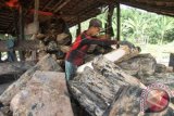 Sejumlah pekerja mengolah potongan pohon sagu menjadi tepung di Desa Alue Bili Rayeuk, Baktiya, Aceh Utara, Aceh, Minggu (13/3). Pengusaha pengolahan pohon sagu mengaku selama beberapa bulan terakhir permintaan tepung sagu meningkat namun karena terkendala bahan baku sehingga usahanya terancam ditutup. ANTARA FOTO/Syifa Yulinnas/pd/16.