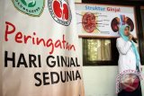 Sejumlah tenaga medis memberi layanan informasi seputar penyakit gagal ginjal dan upaya pencegahannya di are ruang tunggu layanan rawat jalan bagian penyakit dalam di RSUD dr Iskak, Tulungagung, Jawa Timur, Kamis (17/3). Kegiatan yang digelar dalam rangka memperingati Hari Ginjal Sedunia (World Kidney Day) yang jatuh pada 10 Maret, dengan tujuan memberi wawasan hidup sehat mengantisipasi risiko penyakit gagal ginjal yang jumlahnya terus meningkat. Antara Jatim/Destyan Sujarwoko/zk/16