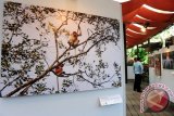 Dua pria mengamati beberapa foto yang ditampilkan dalam Pameran Foto Panda Click di Gardenia, Kabupaten Kubu Raya, Kalbar, Rabu (16/3). Pameran Panda Click yang menampilkan 50 karya foto bertema sosial, budaya dan lingkungan tersebut, merupakan hasil bidikan masyarakat Kecamatan Batu Ampar, Kabupaten Kubu Raya, Kalbar yang sebelumnya telah dilatih memotret oleh WWF Indonesia Program Kalbar. ANTARA FOTO/Jessica Helena Wuysang/16