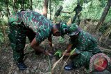 Sejumlah anggota TNI dari Kodim 0809 Kediri melakukan penanaman pohon (reboisasi) sebagai peringatani Hari Air Sedunia di area sumber air Magersari, Desa Tarokan, Kabupaten Kediri, Jawa Timur, Selasa (22/3). Sejumlah 1500 bibit pohon jenis Mahoni, Bambu, Sengon, Mindi, Trembesi, dan Jabon tersebut ditanam oleh TNI dan Perhutani guna melestarikan lingkungan hidup dan mencegah pemanasan global. Antara Jatim/Prasetia Fauzani/zk/16