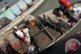 Nelayan mengumpulkan hasil tangkapan kupang laut di Pelabuhan Mayangan, Pasuruan, Jawa Timur, Jumat (25/2). Harga kupang laut selama beberapa pekan terakhir mengalami kenaikan dari sebelumnya di kisaran Rp13 ribu per kilogram menjadi Rp16 ribu, dampak cuaca buruk yang memicu merosotnya tangkapan nelayan di pesisir utara Jatim dan kawasan perairan Selat Madura. Antara Jatim/Destyan Sujarwoko/zk/16