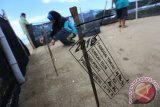 Seorang relawan mengecek lokasi penetasan telur penyu jenis lekang atau yang juga disebut penyu abu-abu (Lepidochelys olivacea) di Kawasan Konservasi penyu Kili-kili di Desa Wonocoyo Kecamatan Panggul, Trenggalek, Jawa Timur, Jum'at (25/3). Menurut laporan Conservation International pada 2004, jumlah penyu betina turun 97 persen dalam dua dekade, dari 115 ribu menjadi kurang dari tiga ribu sejak 1982. Antara Jatim/Irfan Anshori/zk/16