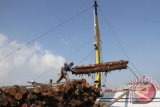 Pekerja melakukan bongkar muatan kayu gelondongan dari atas geladak kapal tradisional di Pelabuhan Mayangan, Pasuruan, Jawa Timur, Jumat (25/2). Sejak dicanangkan pada 1 Januari 2016, pemberlakukan sertifikat verifikasi legalitas kayu (SVLK) untuk semua produk perkayuan di tanah air belum optimal karena ketidaksiapan mayoritas pelaku usaha kecil dan menengah. Antara Jatim/Destyan Sujarwoko/zk/16