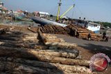 Pekerja melakukan bongkar muatan kayu gelondongan dari atas geladak kapal tradisional di Pelabuhan Mayangan, Pasuruan, Jawa Timur, Jumat (25/2). Sejak dicanangkan pada 1 Januari 2016, pemberlakukan sertifikat verifikasi legalitas kayu (SVLK) untuk semua produk perkayuan di tanah air belum optimal karena ketidaksiapan mayoritas pelaku usaha kecil dan menengah. Antara Jatim/Destyan Sujarwoko/zk/16