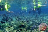 Beberapa wisatawan melakukan snorkeling (selam permukaan) di taman laut Bunaken di Teluk Manado, Sulawesi Utara, Minggu (27/3). Taman Laut Bunaken merupakan objek wisata laut andalan Sulut, yang menyajikan kegiatan wisata snorkeling maupun selam. ANTARA FOTO/Adwit B Pramono/wdy/16.
