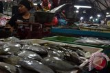 Pedagang melayani pembeli di Pasar Ikan Pabean Surabaya, Senin (28/3). Sesuai data Siskaperbapo Disperindag Jatim,Harga ikan segar tongkol mengalami kenaikan sebesar 0,79 persen dari Rp23.273 per kilogramnya menjadi Rp23.456 per kilogram, sedangkan untuk Ikan cakalang mengalami kenaikan 2,57 persen dari Rp25.732 menjadi Rp26.394 per kilogramnya. Antara Jatim/Abdullah Rifai/16