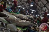 Pedagang melayani pembeli di Pasar Ikan Pabean Surabaya, Senin (28/3). Sesuai data Siskaperbapo Disperindag Jatim,Harga ikan segar tongkol mengalami kenaikan sebesar 0,79 persen dari Rp23.273 per kilogramnya menjadi Rp23.456 per kilogram, sedangkan untuk Ikan cakalang mengalami kenaikan 2,57 persen dari Rp25.732 menjadi Rp26.394 per kilogramnya. Antara Jatim/Abdullah Rifai/16