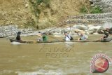 Aktor Leonardo DiCaprio (tengah) bersama rekannya sesama aktor Adrien Brody (kedua kiri) berada di atas sampan ketika menyeberangi Sungai Alas, Aceh Tenggara, Aceh, Minggu (27/3). Leonardo DiCaprio dan Adrien Brody mengunjungi lokasi tersebut untuk melihat keanekaragaman hayati dan aktivitas Orangutan di habitat asli di Taman Nasional Gunung Leuser (TNGL). ANTARA FOTO/BBTNGL/Agus Yulianto/im/aww/16.