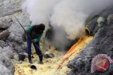 Seorang pekerja melakukan aktivitas penambangan belerang di kawah Gunung Ijen, Banyuwangi, Jawa Timur, Selasa (29/3). Sedikitnya 14 ton belerang setiap hari berhasil ditambang atau sekitar 20persen dari potensi sesungguhnya yang disediakan oleh alam. minimnya hasil yang diperoleh dikarenakan medan yang sangat sulit dan dilakukan secara tradisional. Antara Jatim/Budi Candra Setya/zk/16.